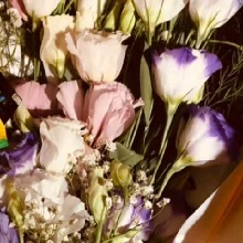 Guest_Mrmeli