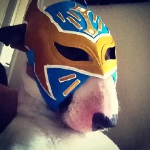 Guest_ZxHPN