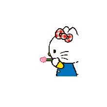 Guest_Sofi689393