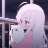 Guest_lavenderrufousceb8