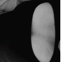 Guest_Rommaa