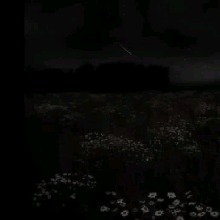 Guest_Liyi10