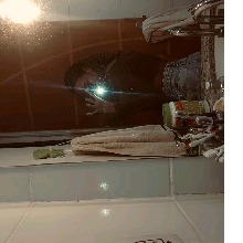 Guest_Licr4