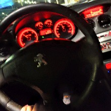 Guest_Youngmoney888