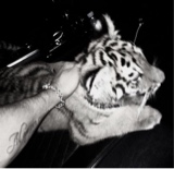 Guest_lucazx7