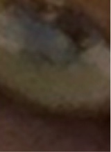 Guest_Demontewilliams1
