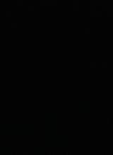 ZAYLIVINWIH762