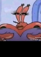 Guest_Kathyy0