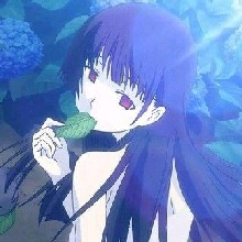 Guest_Layla900681