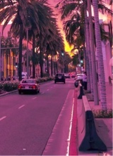 Guest_Noa211921