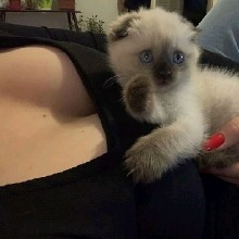 Guest_Shelly513444