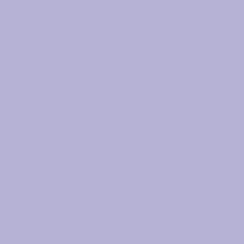 Guest_Amy402329