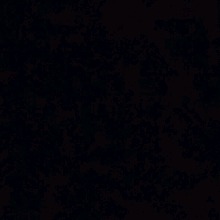 Guest_DyRs2