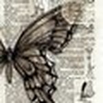 Guest_Alex331681