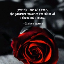 Guest_Medicine6