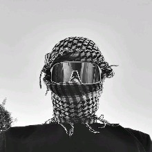 Guest_TheAraujo