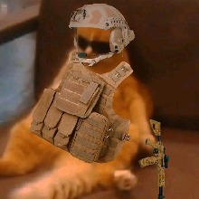 Guest_KnightNk