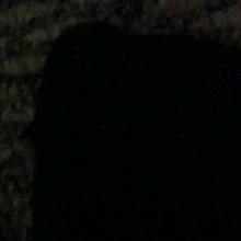 Guest_jerky7