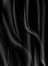 Guest_Shadow532708
