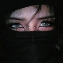 Guest_Noxi13