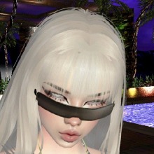Guest_Kitty607256
