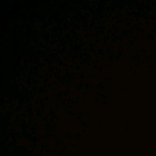 Guest_Y377348