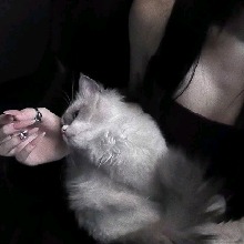 Guest_Camaronncito