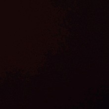 Guest_llDrila