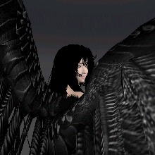 Guest_Cloudler