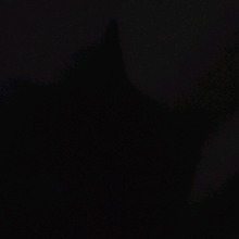 Guest_relievedfollyf08a