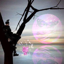 Guest_Enzo2301