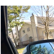 Guest_Nicol128