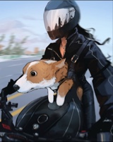 Guest_BloomCooper1