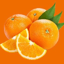 jerukk