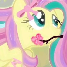 Guest_TuMontana