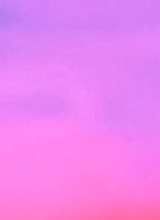 Guest_zia452253