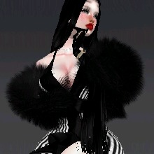 Guest_Viviana554211