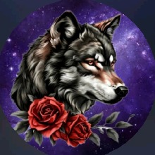Guest_leadbolecfdf
