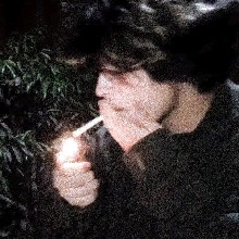 Guest_leadbolecfdf