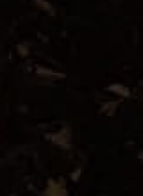 Guest_Machette0880