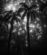 Guest_juliicatt
