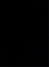 immagine avatar