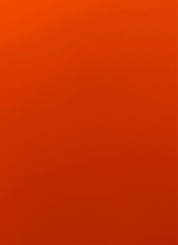 Guest_Tricks3