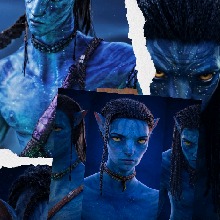 Avatar Bild