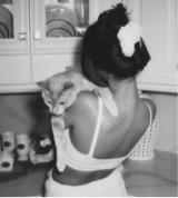 Kitx