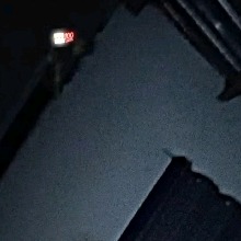 Guest_oldroseeinsteinic5d6