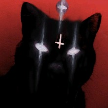 Portrait de l'avatar