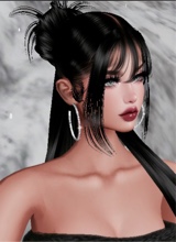 Guest_Zel525497