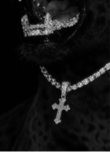 immagine avatar