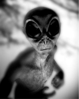 astrophilia